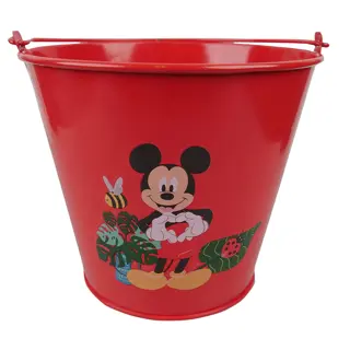 Disney Emmer Mickey