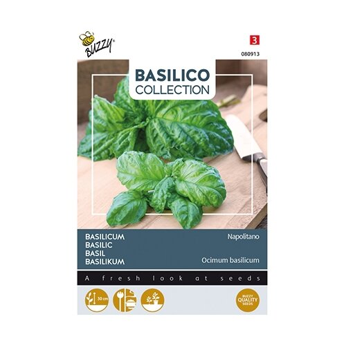 Buzzy® Basilicum Napolitano - afbeelding 1