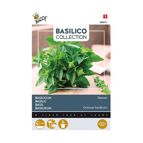 Buzzy® Basilicum Bascuro - afbeelding 1