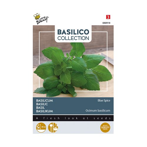 Buzzy® Basilicum Blue Spice - afbeelding 1