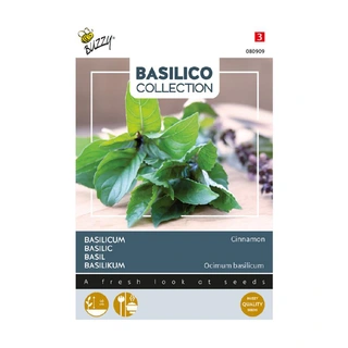 Buzzy® Basilicum Canella - afbeelding 1