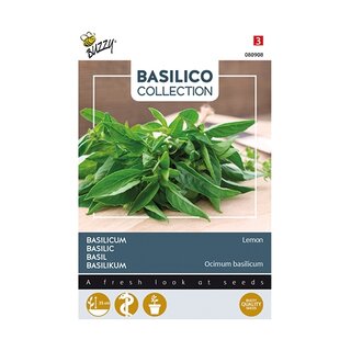 Buzzy® Basilicum Lemon | Tuincentrum De Boet