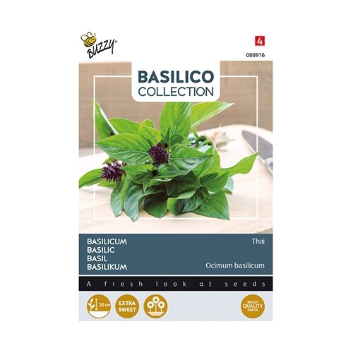 Buzzy® Basilicum Thai - afbeelding 1