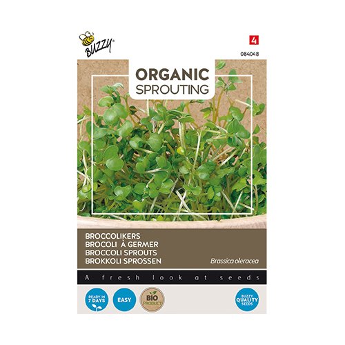 Buzzy® Organic Sprouting Broccolikers (BIO) - afbeelding 1