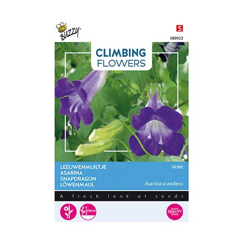 Buzzy® Climbing Flowers, Asarina Violet - afbeelding 1