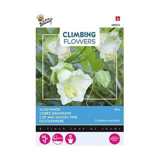 Buzzy® Climbing Flowers, Cobaea Alba Wit - afbeelding 1