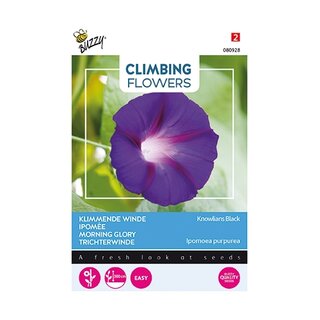 Buzzy® Climbing Flowers, Ipomoea Knowlians Black