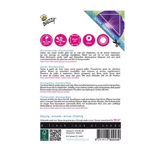 Buzzy® Climbing Flowers, Ipomoea Knowlians Black - afbeelding 2