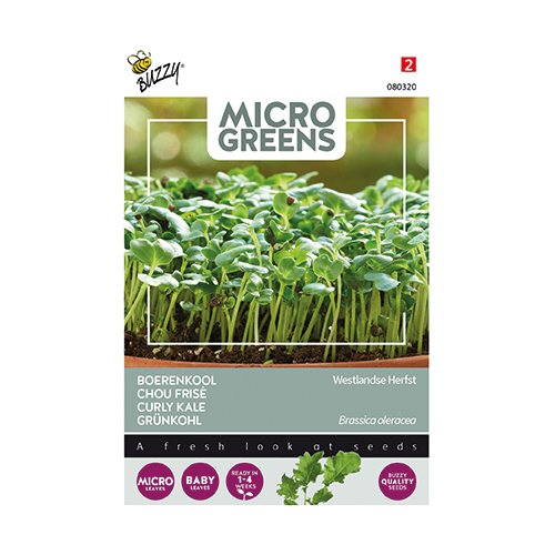 Buzzy® Microgreens, Boerenkool Westlandse Herfst - afbeelding 1