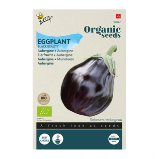 Buzzy® Organic Aubergine Black Beauty (BIO) - afbeelding 1
