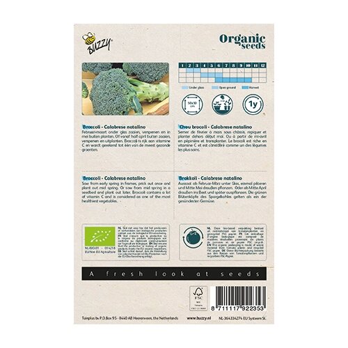 Buzzy® Organic Broccoli Calabrese natalino (BIO) - afbeelding 2