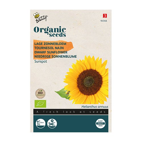 Buzzy® Organic Helianthus, Lage zonnebloem Sunspot (BIO) - afbeelding 1