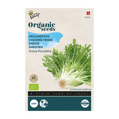 Buzzy® Organic Krulandijvie Grosse Pancalière  (BIO) - afbeelding 1