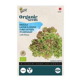 Buzzy® Organic Krulsla Lollo rossa  (BIO) - afbeelding 1