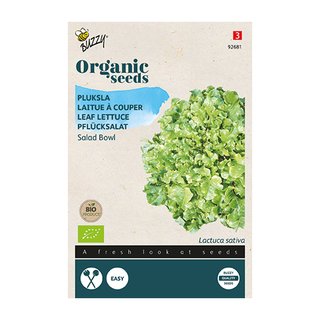 Buzzy® Organic Pluksla Salad Bowl, groen  (BIO) - afbeelding 1