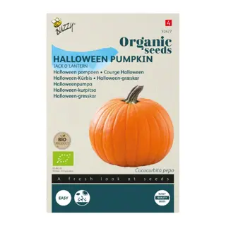 Buzzy® Organic Pompoen Jack O'Lantern (BIO) - afbeelding 1