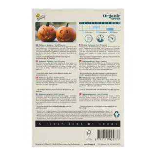 Buzzy® Organic Pompoen Jack O'Lantern (BIO) - afbeelding 2