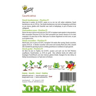 Buzzy® Organic Snackkomkommer Picolino F1 (BIO) - afbeelding 2