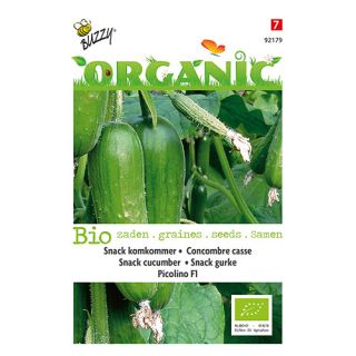 Buzzy® Organic Snackkomkommer Picolino F1 (BIO) - afbeelding 1
