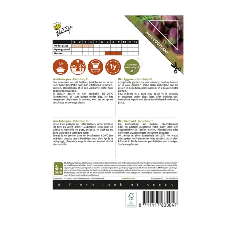 Buzzy® Patio Veggies, Aubergine Patio Baby F1 - afbeelding 2