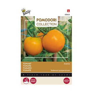 Buzzy® Pomodori, Tomaat Arancia - afbeelding 1