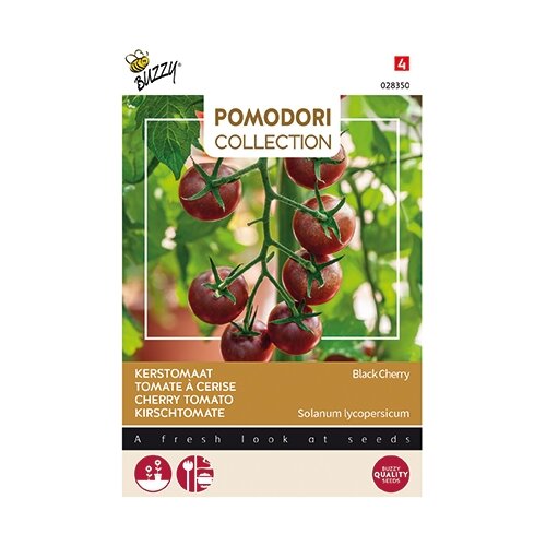 Buzzy® Pomodori, Kerstomaat Black Cherry - afbeelding 1