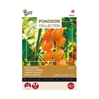 Buzzy® Pomodori, Kerstomaat Dolly F1 | Tuincentrum De Boet