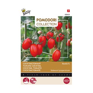 Buzzy® Pomodori, Tomaat Ravello F1 - afbeelding 1