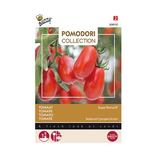 Buzzy® Pomodori, Tomaat Super Roma VF - afbeelding 1
