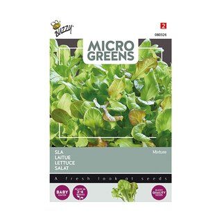 Buzzy® Microgreens, Sla gemengd | Tuincentrum De Boet
