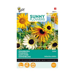 Buzzy® Sunny Flowers, Zonnebloem Esther - afbeelding 1
