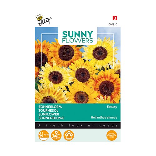 Buzzy® Sunny Flowers, Zonnebloem Fantasy - afbeelding 1