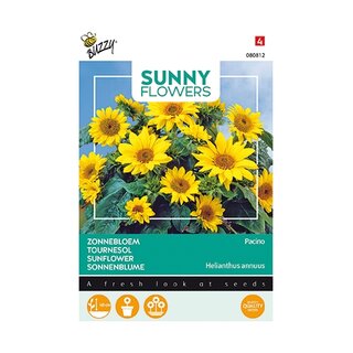 Buzzy® Sunny Flowers, Zonnebloem Pacino Gold - afbeelding 1