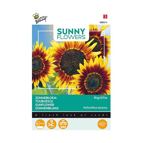 Buzzy® Sunny Flowers, Zonnebloem Ring of Fire - afbeelding 1