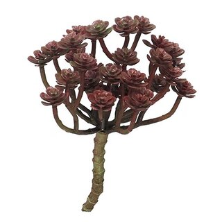 Kunst Cacta rood - 19cm