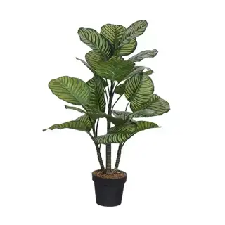 Kunstplant Calathea