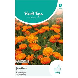 Horti Tops Calendula, Goudsbloem Ball's Oranje dubbelbloemig - afbeelding 1