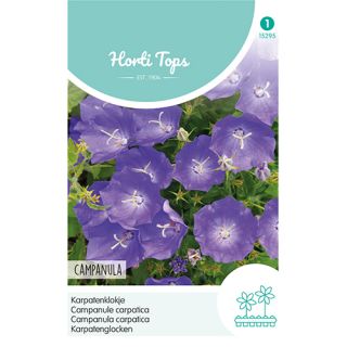 Horti Tops Campanula, Karpatenklokje blauw - afbeelding 1