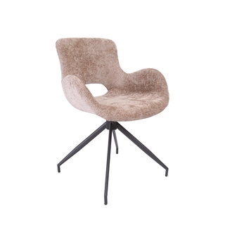 Campo Armstoel Haga - Cappuccino
