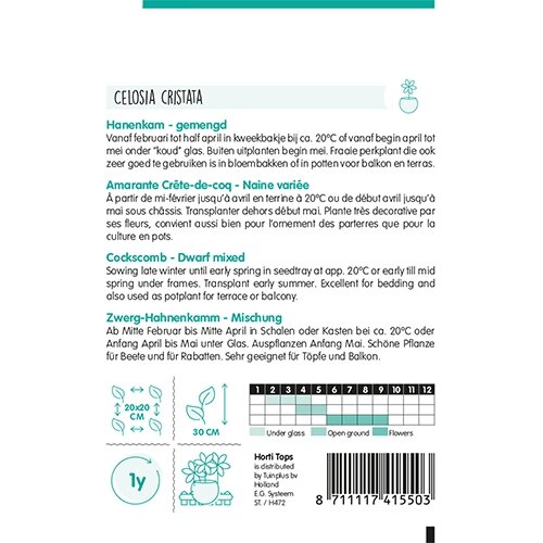 Horti Tops Celosia, Hanenkam gemengd - afbeelding 2