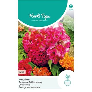 Horti Tops Celosia, Hanenkam gemengd - afbeelding 1