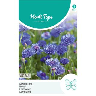 Horti Tops Centaurea, Korenbloem Blue Ball - afbeelding 1