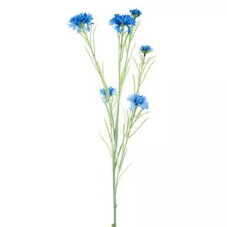 Centauria spray yuki blue 95 cm