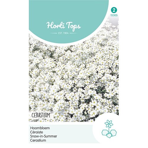 Horti Tops Cerastium, Hoornbloem wit - afbeelding 1