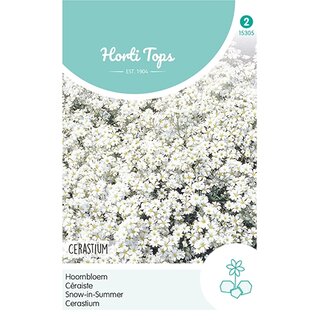 Horti Tops Cerastium, Hoornbloem wit - afbeelding 1