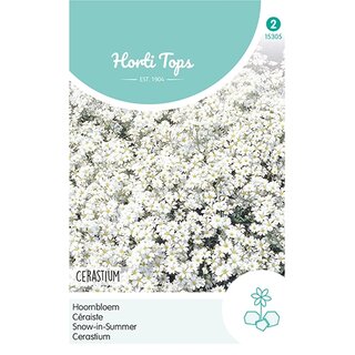 Horti Tops Cerastium, Hoornbloem wit - afbeelding 1