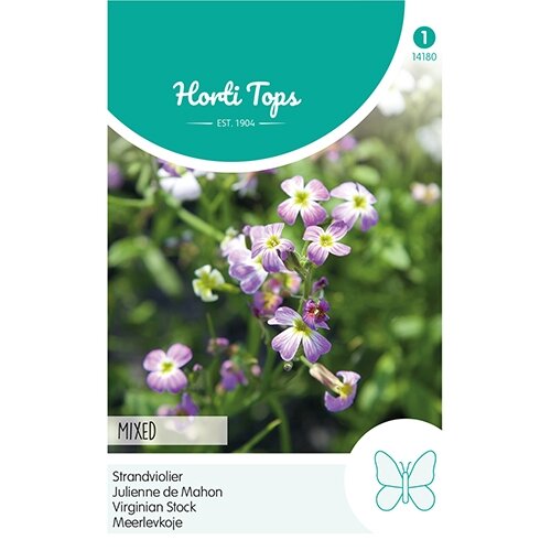 Horti Tops Cheiranthus, Strandviolier gemengd - afbeelding 1