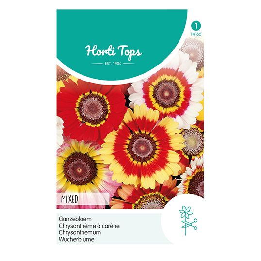 Horti Tops Chrysanthemum, Ganzebloem gemengd - afbeelding 1