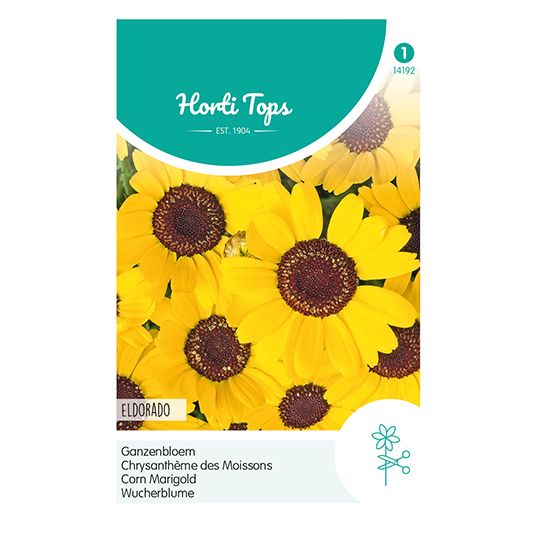 Horti Tops Chrysanthemum, Ganzebloem Eldorado Geel - afbeelding 1