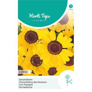 Horti Tops Chrysanthemum, Ganzebloem Eldorado Geel - afbeelding 1